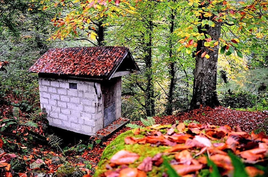 Teona Bungalow & Restaurant