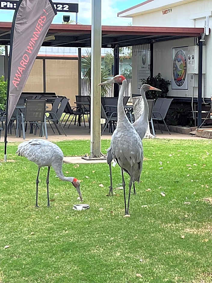 Winton Outback Motel
