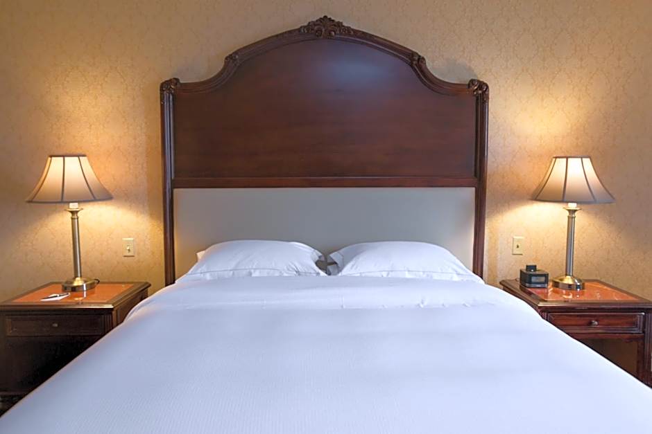 Barcelo San Salvador