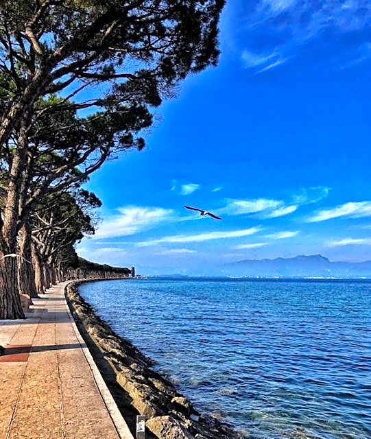 Hotel Nuova Barcaccia