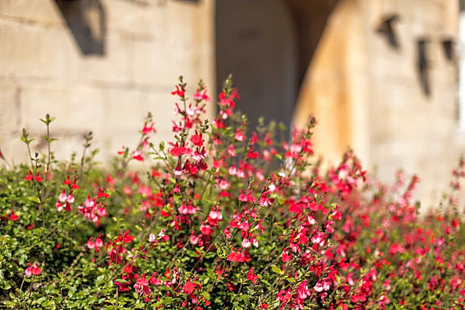 St Catherine's Hospital, Bath