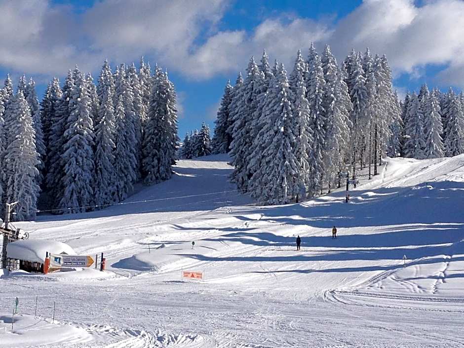 Chalet Hôtel du Mont-Charvin & Spa