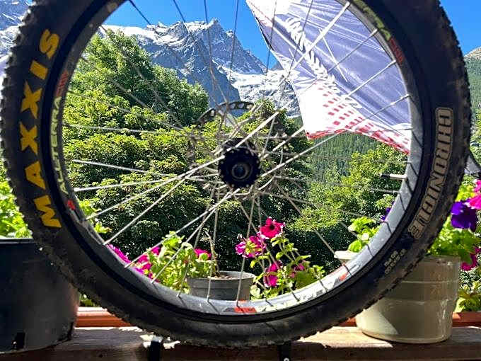 Hôtel des Alpes - Skiers & Bikers Lodge