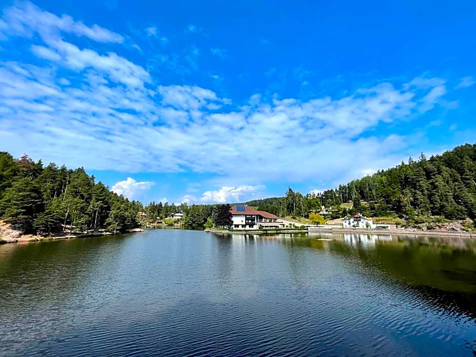 Hotel Am Wolfgrubenersee