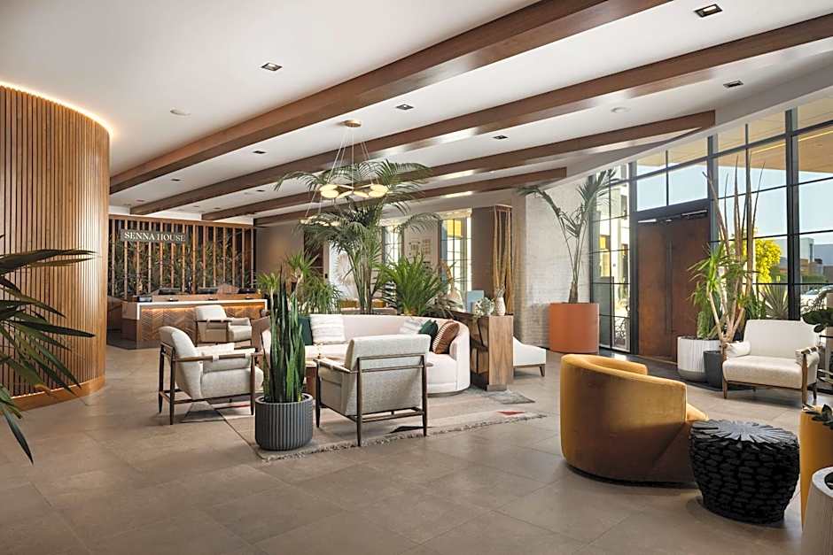 Senna House Scottsdale, Curio Collection by Hilton