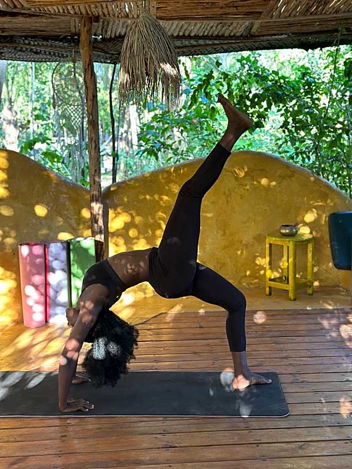 Kameleon Blue Arts Lodge