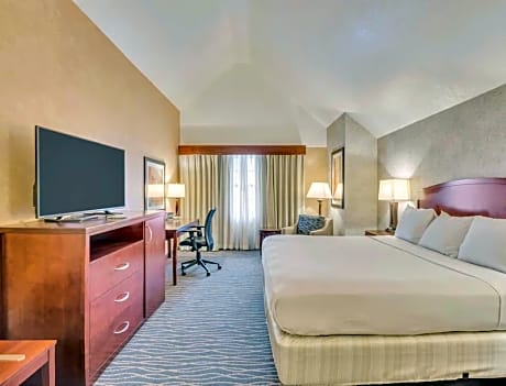 Premium King Room - Non-Smoking