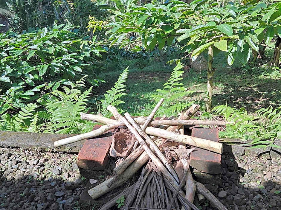 Bali mountain forest cabin