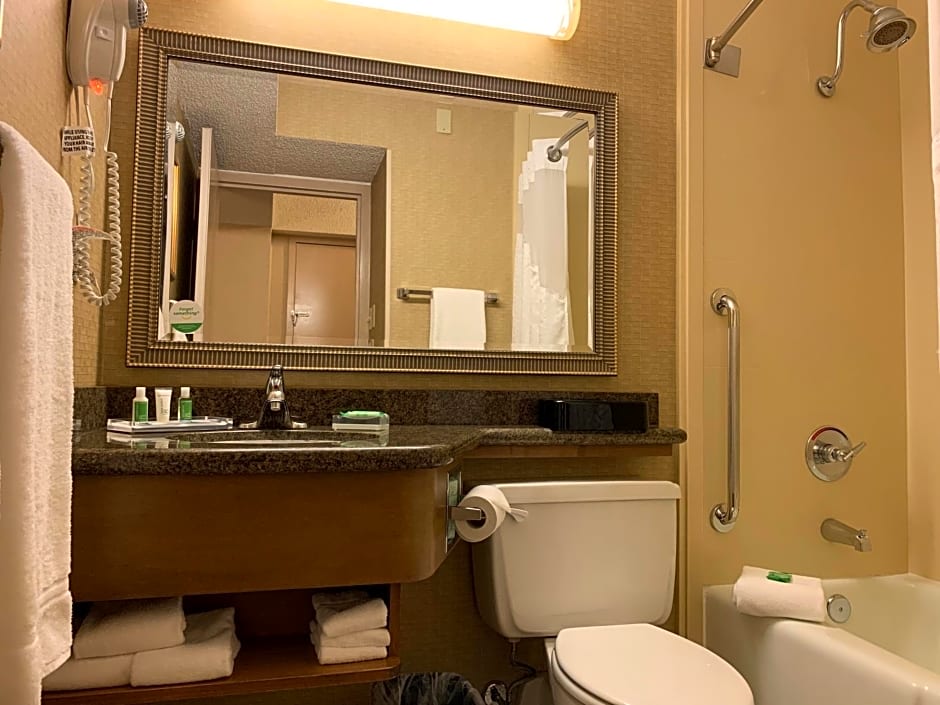 Holiday Inn Johnstown-Downtown, an IHG Hotel