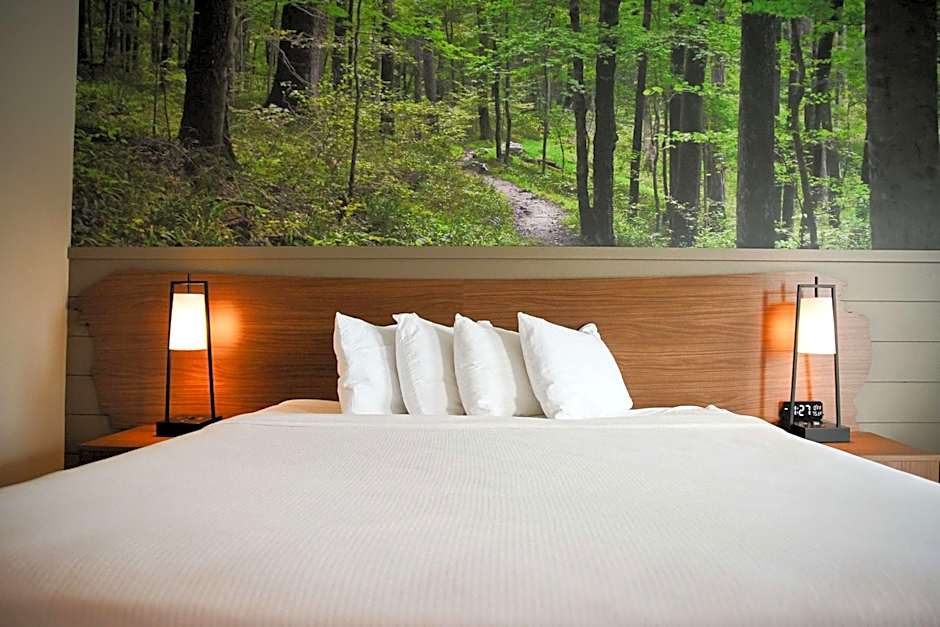 The Inn At Tree City, BW Signature Collection