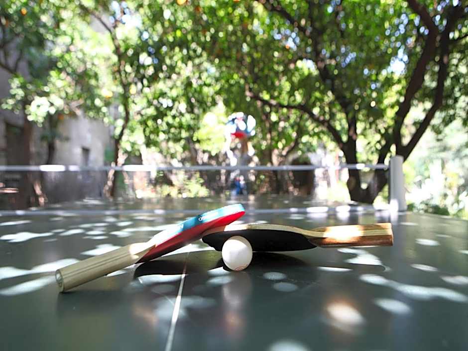 Il Giardino di Tonia - Oplontis Guest House - Bed & Garden -