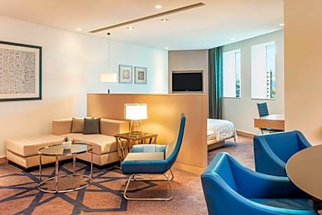 Deluxe Suite, 1 Bedroom Suite, 1 King