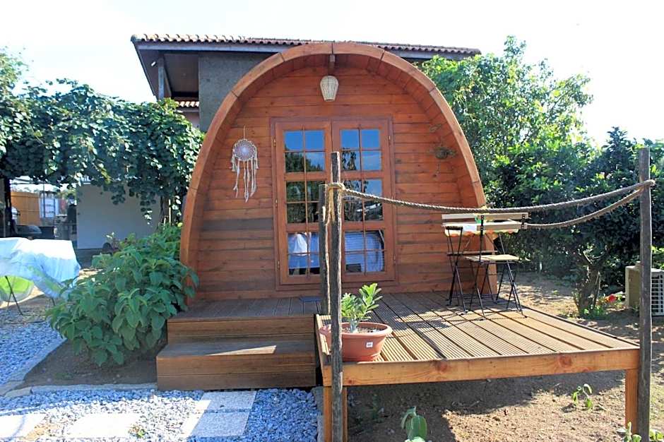 Casa da Avó Miquinhas