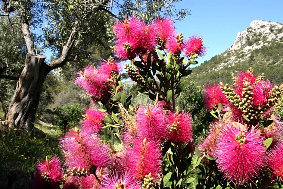 Villa Foia Vella - adults only