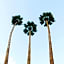 Delos Reyes Palm Springs