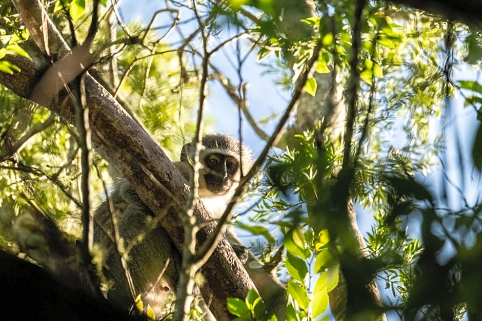 BWHALE guest house B&B