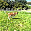 Pukeatua Farmstay