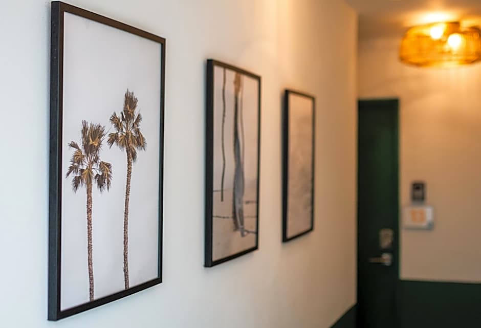 La Mona Loiza Apartment Complex by Stay with Bear