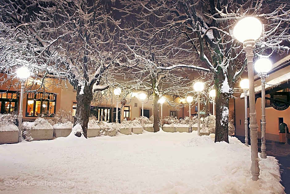 Pri Žabarju Bed & Breakfast Ljubljana