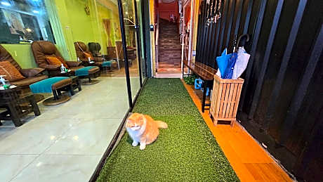 Phuket Sweet Cats Home 