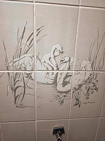 Single Room with Shared Bathroom