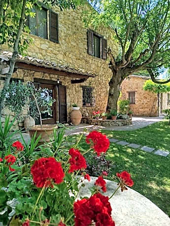All'Ombra di San Damiano