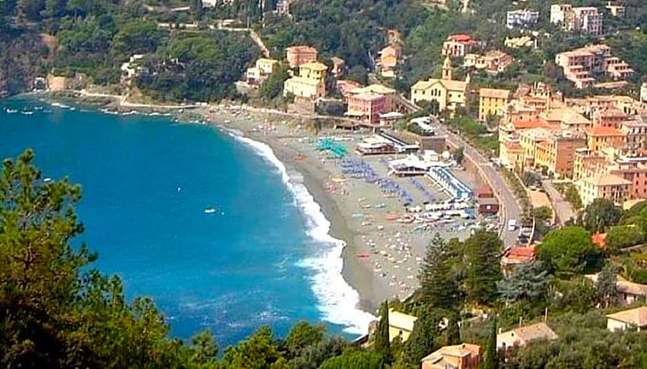 Hotel Feluca