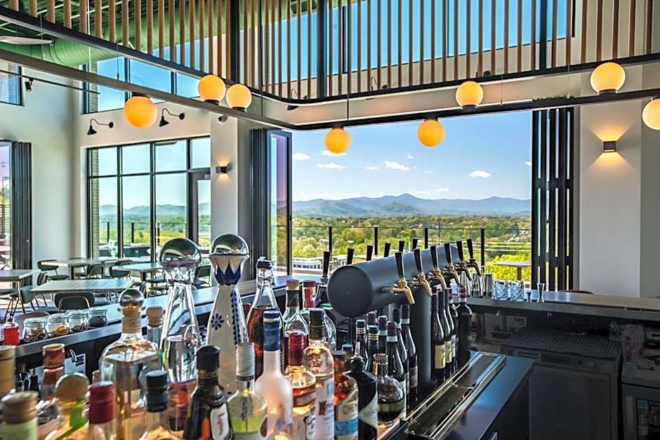 Embassy Suites by Hilton Asheville Downtown