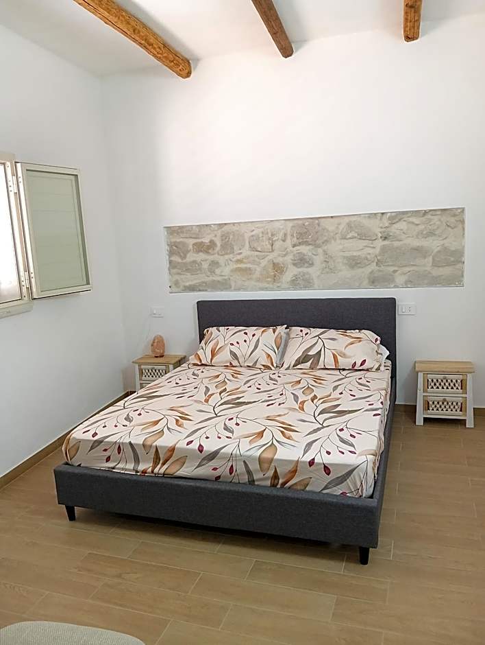 Piccola Azzurra Branch