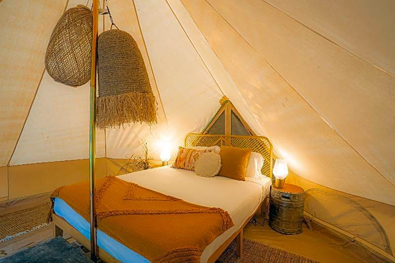 Koala Park by Bounce