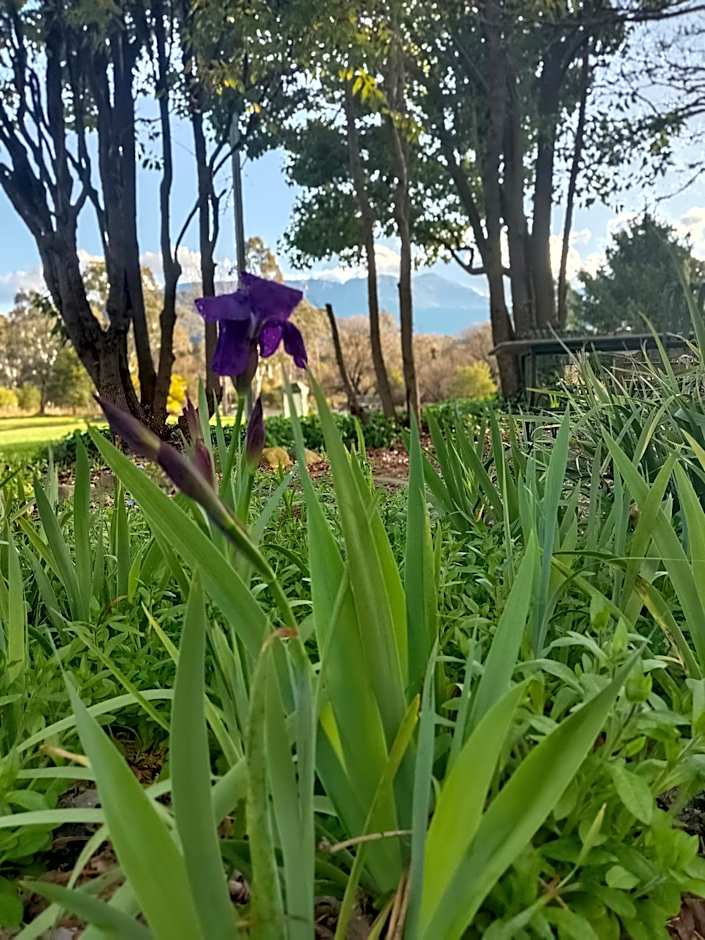 Buffalo Motel and Country Retreat