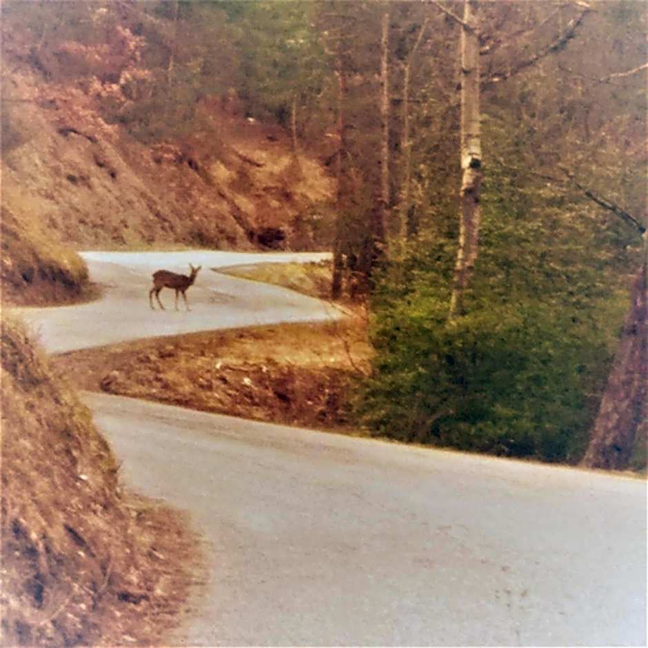 Le Relais des Cavaliers