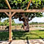 B&B Il Gelso Rooms