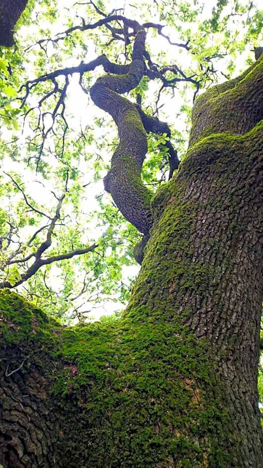La Ferme Les Eybrachas