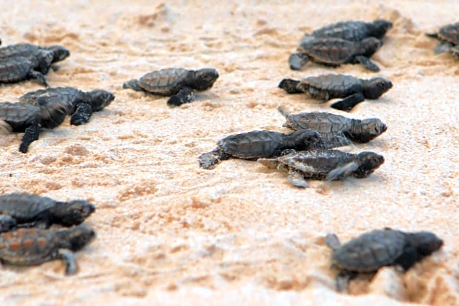 Hotel Pousada Butias