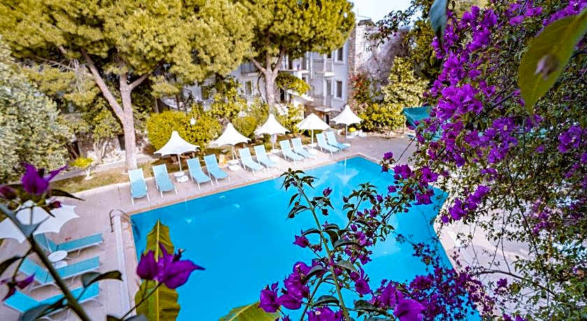 Moonshine Hotel & Suites