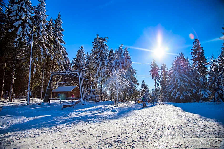 Sauerland Alpin Hotel