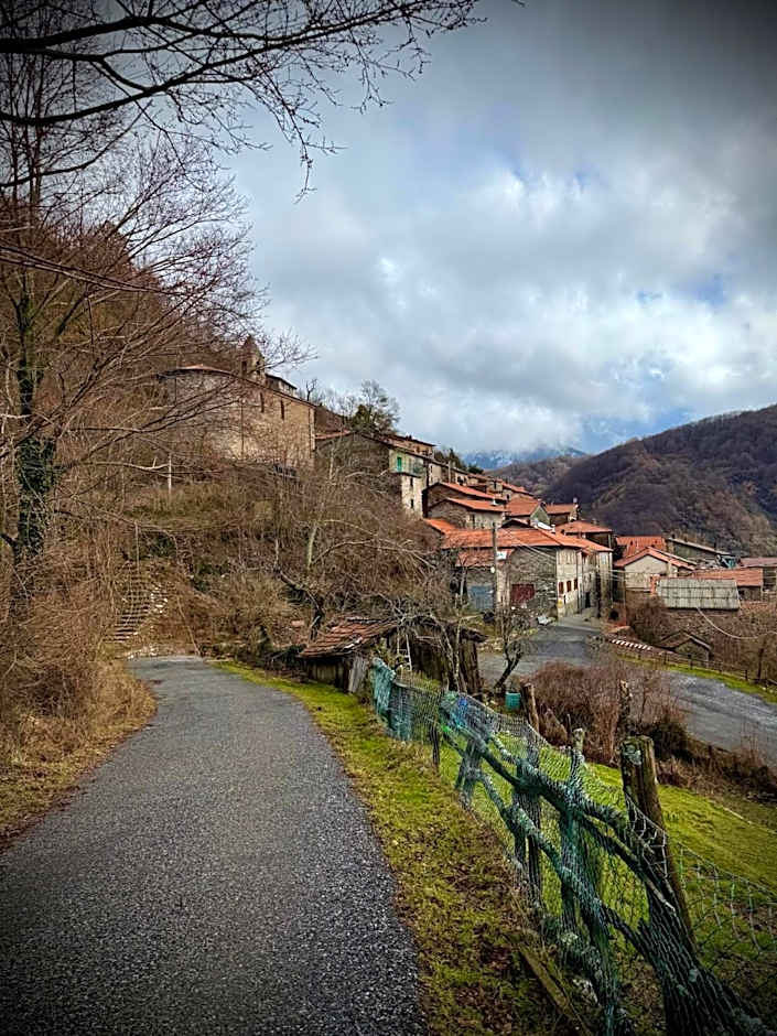 Viandanti, Artisti e Sognatori