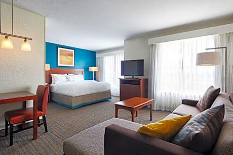 Studio Suite, 1 King Bed with Sofa bed (Mobility Accessible, Tub) (1 King Bed and 1 Double Sofa Bed)
