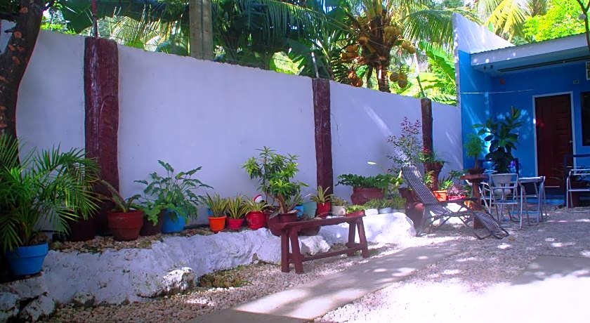 PEDZ CING MANGO LODGE