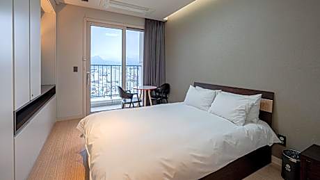 Standard Mountain View Double Room