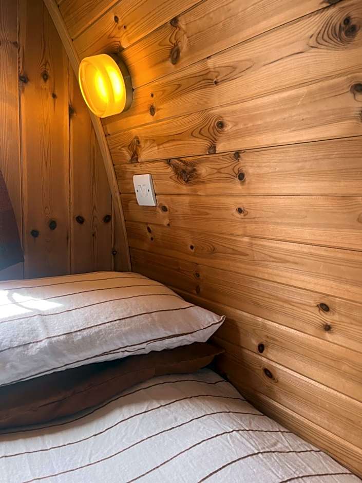 Stoneymollan over Loch Lomond