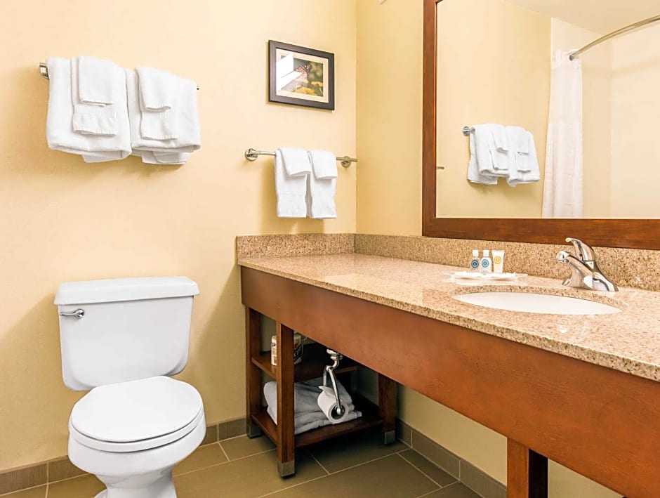 Comfort Suites Normal University area
