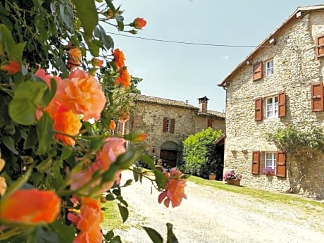 Cammino Nel Verde