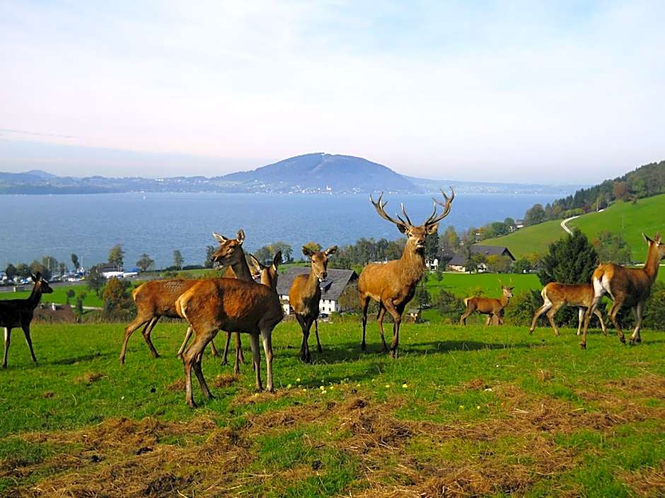 Gasthof-Hotel Bramosen