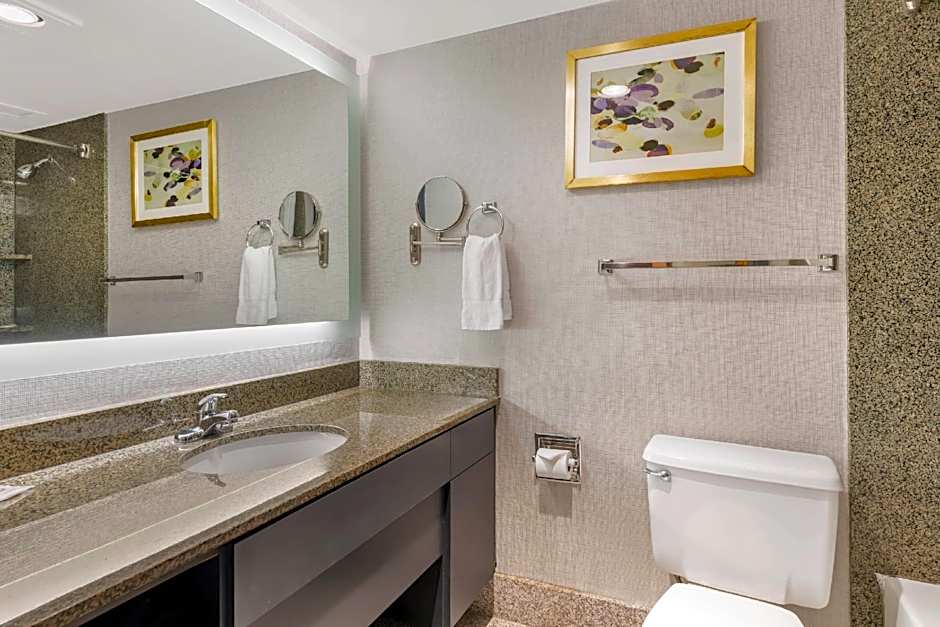 Comfort Inn Brooklyn Center