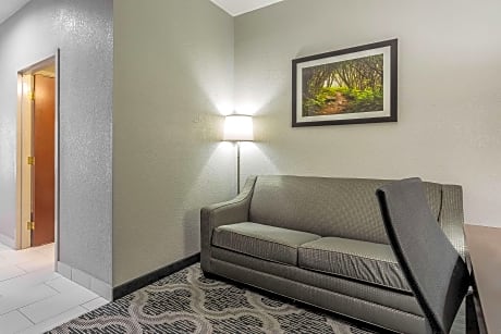 1 King Bed, Business Room, Suite, Nonsmoking