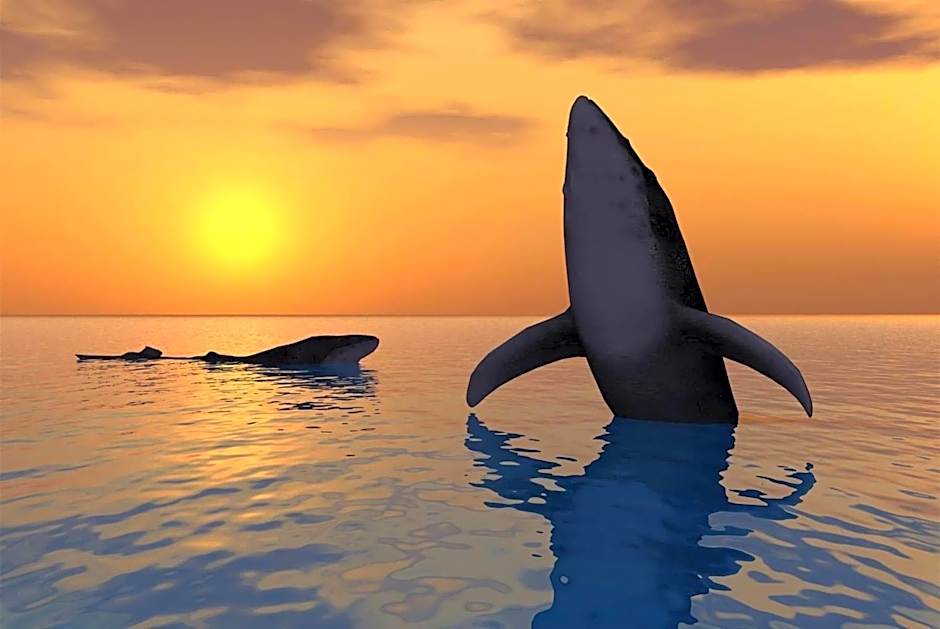 Ningaloo Lodge Exmouth