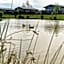 Home Farm Park - Static Caravans