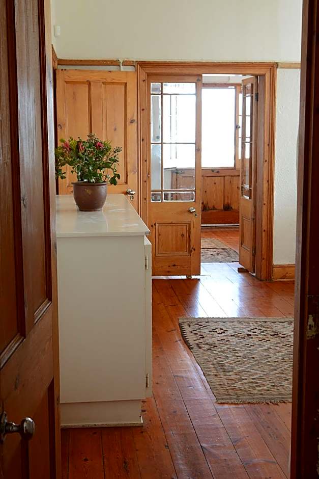 Bosky Dell on Boulders Beach